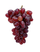 Красные сорта винограда