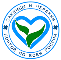 Саженцы и черенки почтой по всей России.
