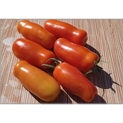 Дрова томат
