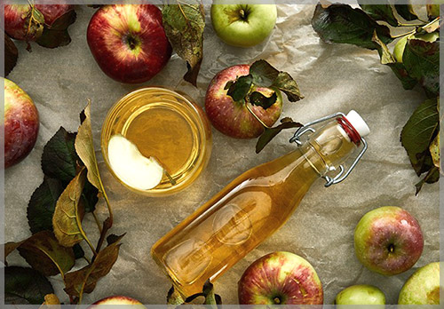 рецепт яблочного сидра